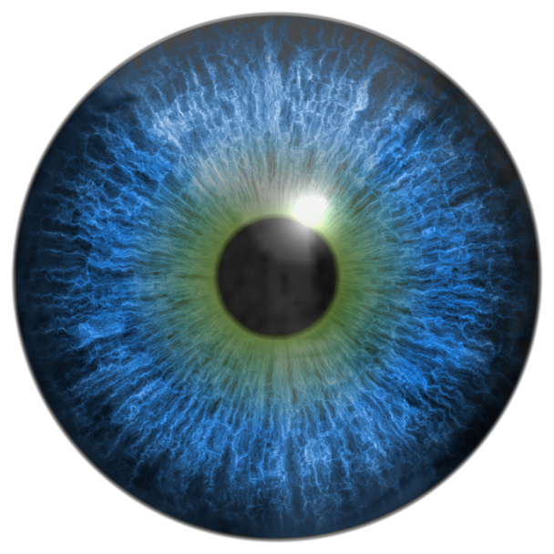 Eye iris generated hires texture - Photo, Image