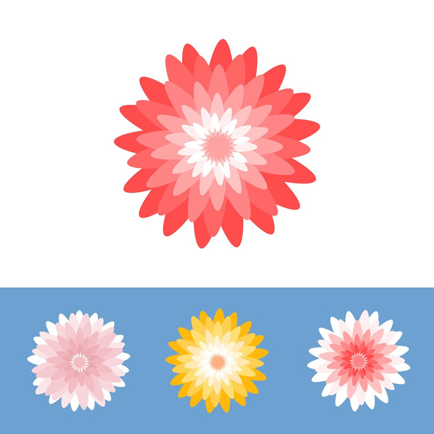 Flor vectorial, Crisantemo, Margarita gerber, diseño plano
 - Vector, Imagen