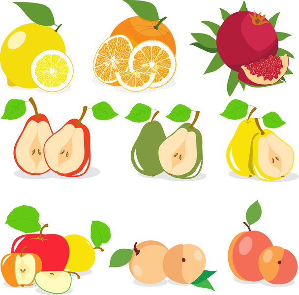 Set of fruits, lemon, apple, orange, pomegranate, pear, apricot, peach, vector illustration. - Vector, Imagen