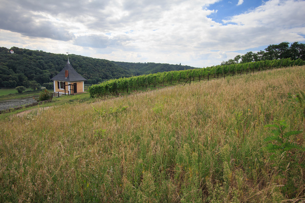 küçük şarap evi - Fotoğraf, Görsel