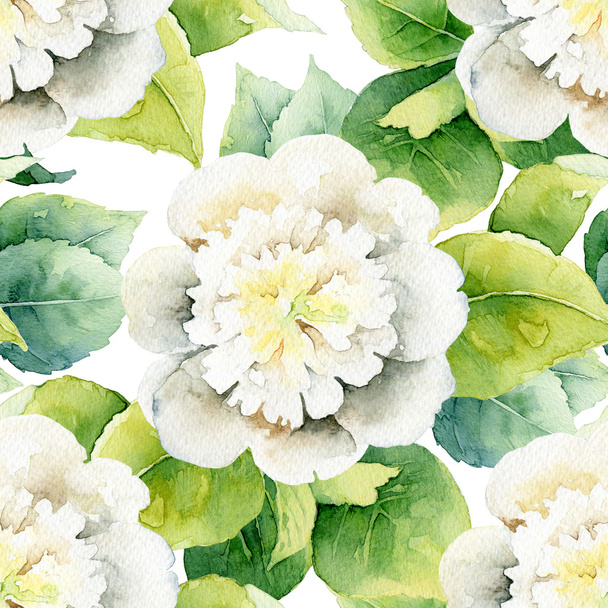Floral pattern with white peony - Фото, зображення