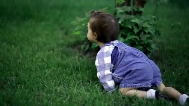 Симпатична маленька дитина повзає на всіх чотирьох протягом літа зелений трави
. - Кадри, відео