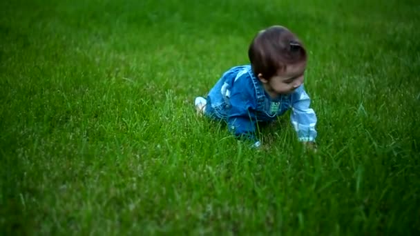 Милый малыш ползает на четвереньках все лето, зеленая трава
. - Кадры, видео