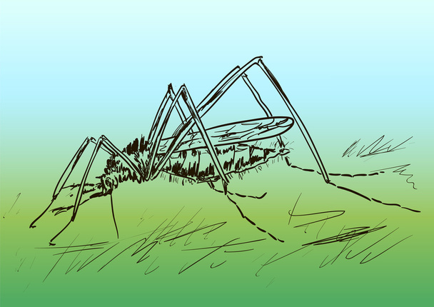 komar on the grees - Vector, Image