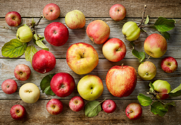 erilaisia omenoita
 - Valokuva, kuva