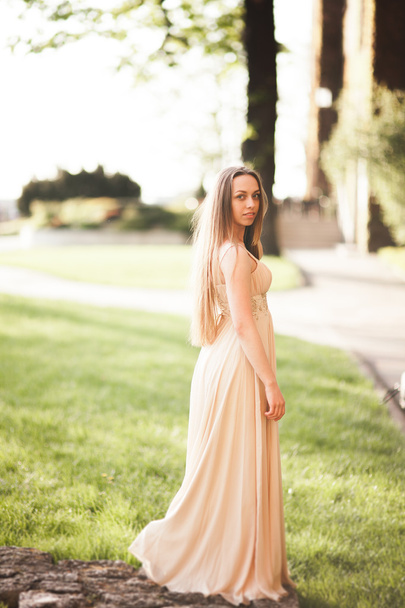 Attractive young woman with long dress enjoying her time outside in park sunset background - Fotó, kép