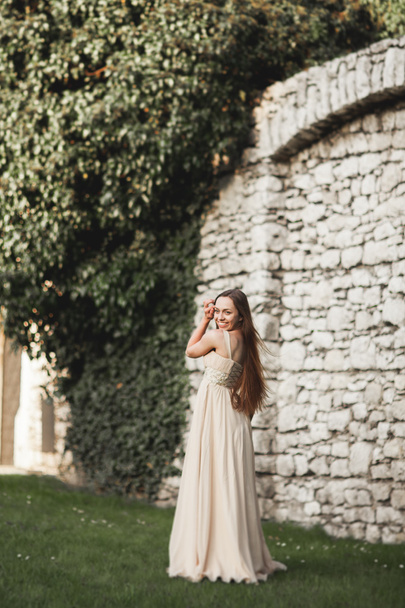 Beautiful girl, model with long hair posing in park near great wall. Krakow Vavel - Foto, Imagem