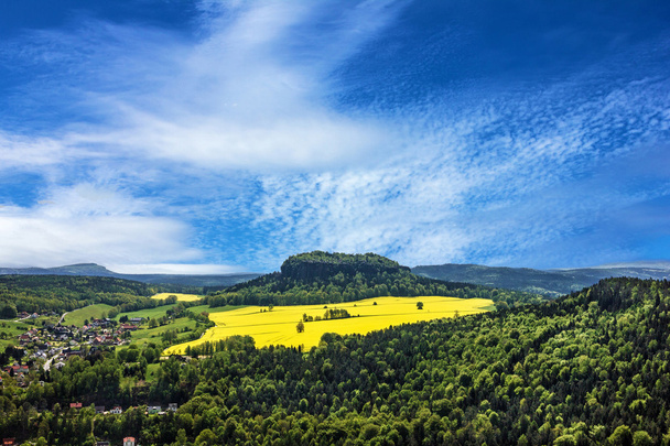 Saxe, champ de colza, Allemagne. Paysage naturel
 - Photo, image
