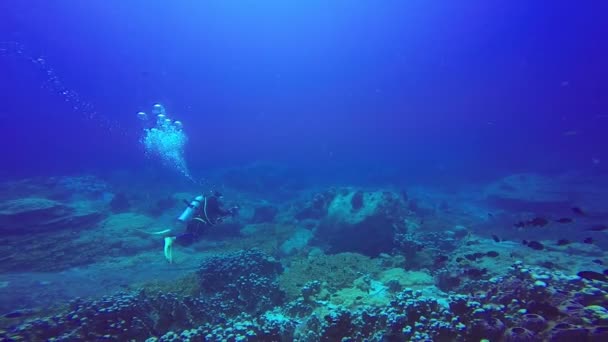 Onderwater schieten van een scuba duikers zwemmen in een helder blauw water. - Video