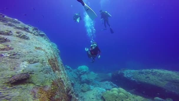 Onderwater shot van de groep duikers in een blauwe heldere water zwemmen. - Video