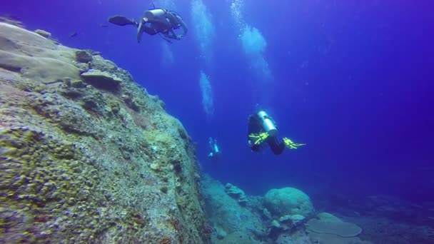 Onderwater shot van de groep duikers in een blauwe heldere water zwemmen. - Video