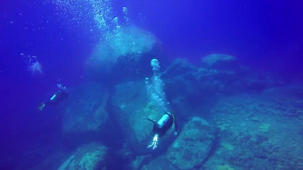 Υποβρύχια πλάνο της ομάδας αυτοδύτες κολύμπι σε μια μπλε καθαρά νερά. - Πλάνα, βίντεο
