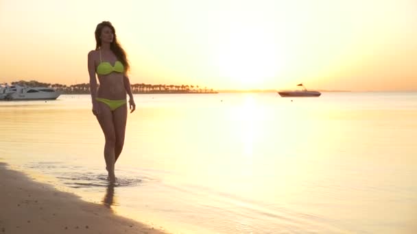 Κορίτσι, το περπάτημα κοντά στη θάλασσα στο ηλιοβασίλεμα - Πλάνα, βίντεο