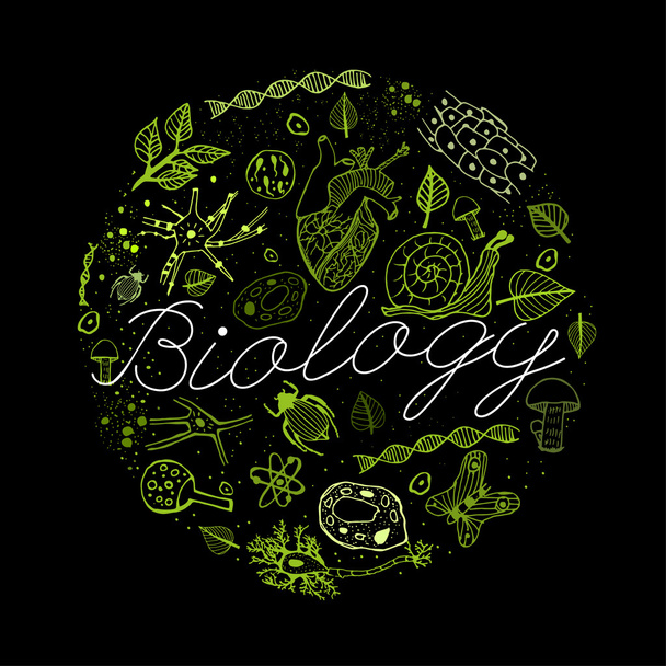 Koncept biologie 03 A - Vektor, obrázek