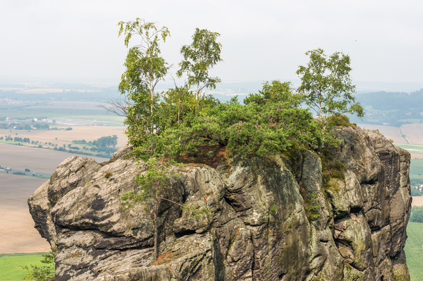 Sandstone rocks in the bohemian paradise of the Czech republic - Photo, Image
