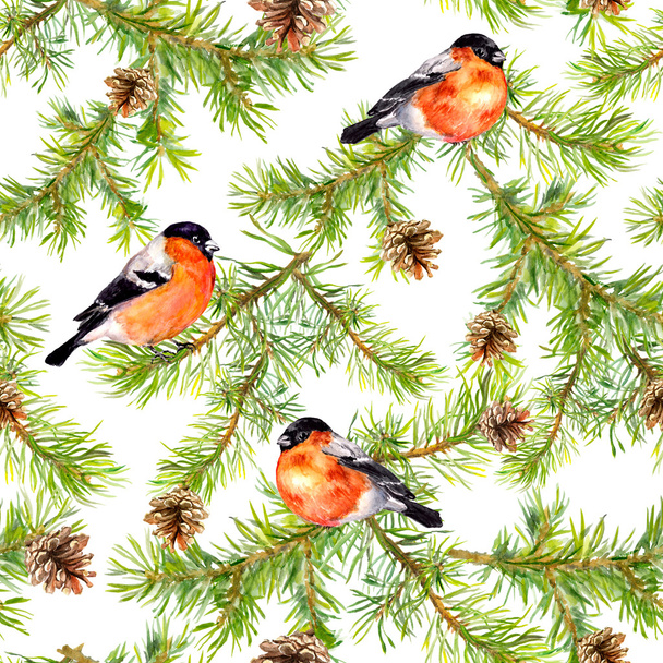Red birds, branches of pine tree, cones. Seamless pattern. Watercolor - Foto, afbeelding
