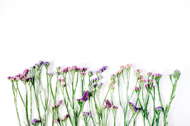Blumen des trockenen Meeres-Lavendels - Foto, Bild