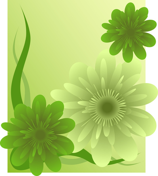 Vector floral background - Vector, imagen