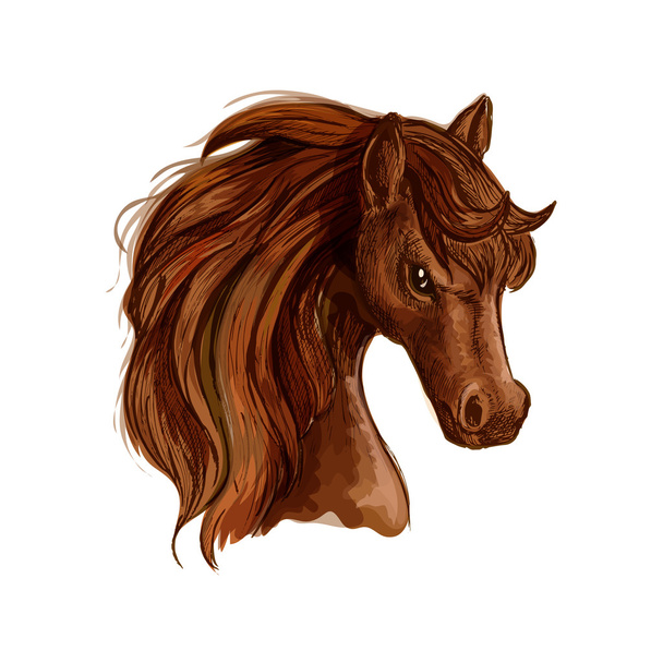 馬のデザインのための茶色のアラビア馬の馬のスケッチ - ベクター画像