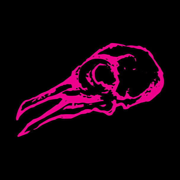 Монохромный череп птичьего наброска голубя
 - Вектор,изображение