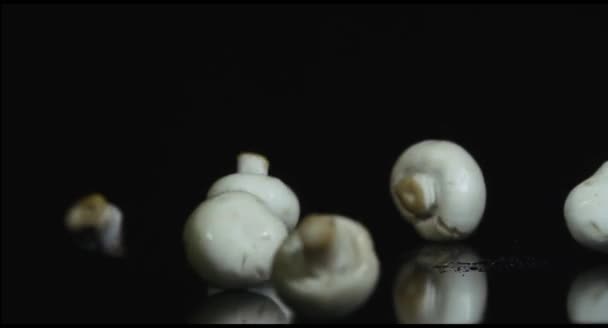 Mushrooms falling in slow motion - Footage, Video
