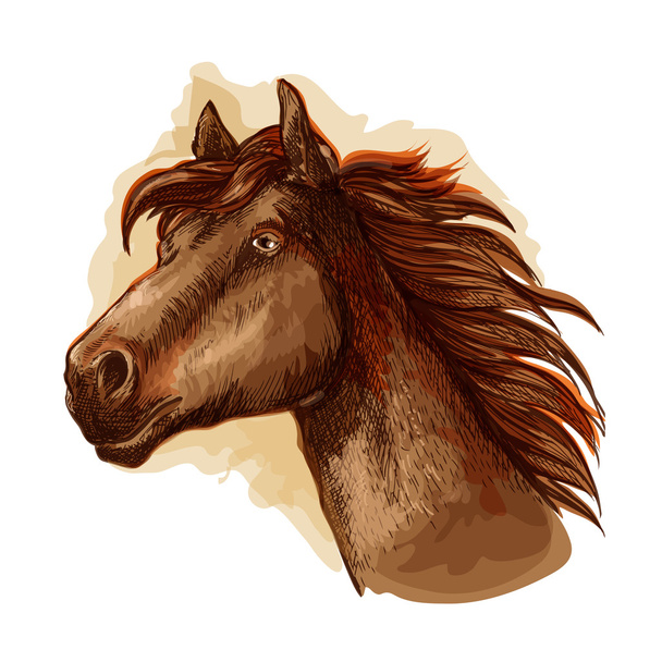 Brązowy koń wyścigowy do projektowania wyścigów konnych - Wektor, obraz
