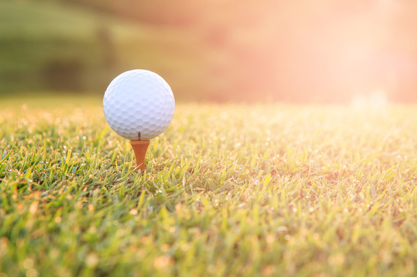 Balle de golf sur un tee contre le terrain de golf avec espace de copie
 - Photo, image