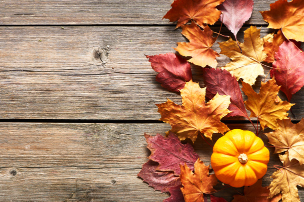 herfst bladeren en pompoen - Foto, afbeelding
