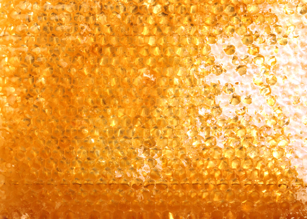 соты с медом. естественный фон
 - Фото, изображение
