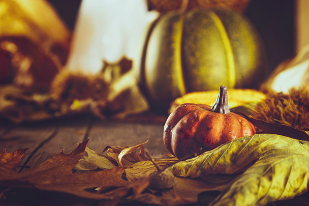 Thanksgiving autumn background - Фото, изображение