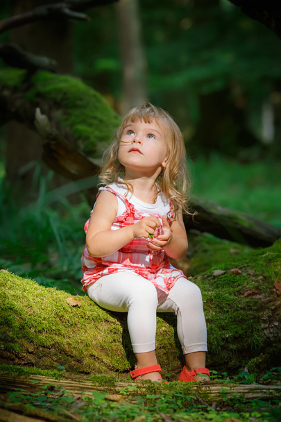 Little girl in the forest - Foto, Imagem