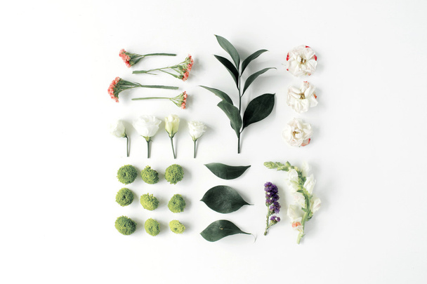 Flowers and plant parts composition - Zdjęcie, obraz