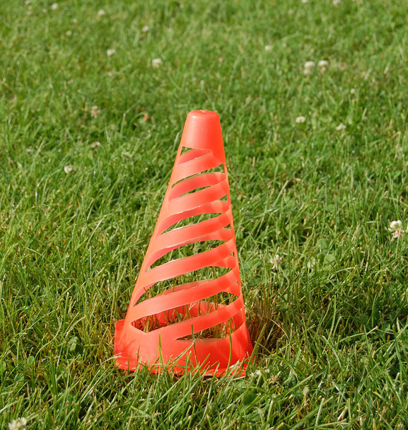 Soccer cone standing on grass - Photo, Image