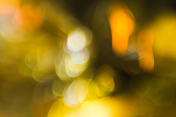 Beautiful nature green and yellow bokeh background - 写真・画像