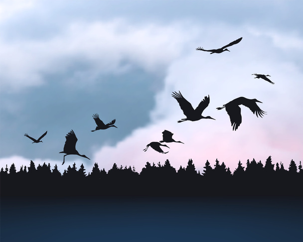 Pájaros cigüeña silhuetes al amanecer cielo nublado
 - Vector, imagen