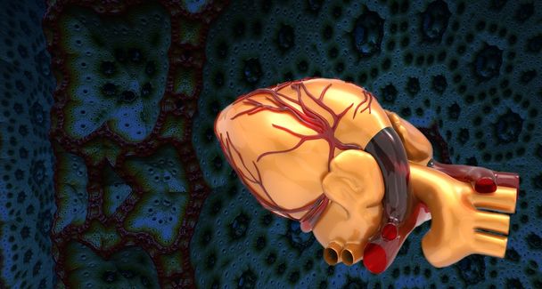 Modelo de corazón humano artificial 3d rendering
 - Foto, imagen