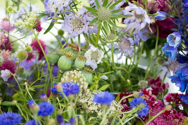 Підбірка барвистих квітів
 - Фото, зображення