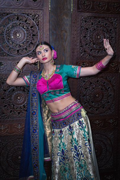 Όμορφη νεαρή Ινδή γυναίκα με παραδοσιακά ρούχα - Φωτογραφία, εικόνα