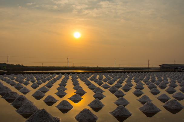 Salt farm in early morning. - Photo, Image