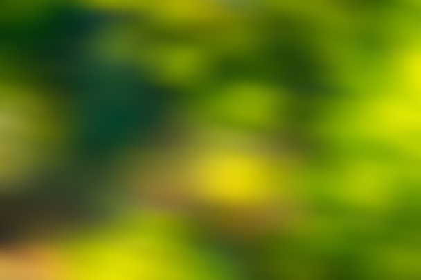 Homályos absztrakt háttér zöld tónusok - Fotó, kép