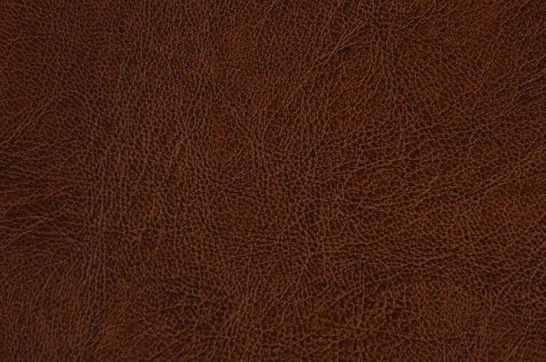 Texture cuir marron
  - Photo, image