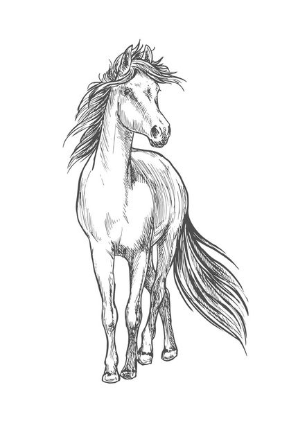 Cavalo de pé com desenho a lápis de crina ondulante
 - Vetor, Imagem