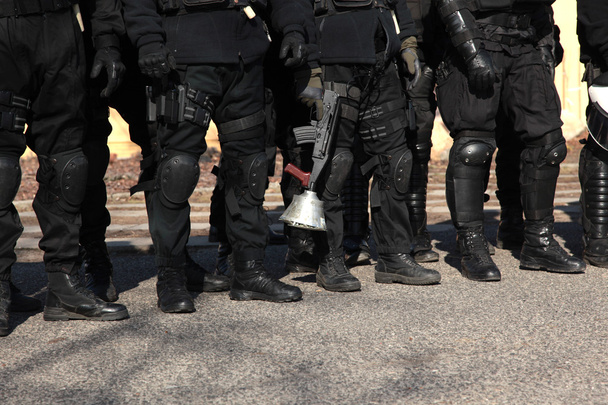 Police polonaise pendant la collecte
 - Photo, image