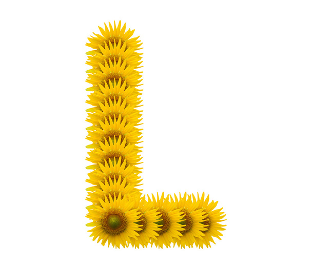 alfabet l, zonnebloem geïsoleerd op witte achtergrond - Foto, afbeelding