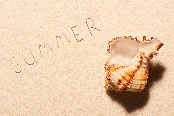 Empty sea shell and summer lettering drawn on sand - Foto, Imagen