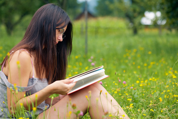 Young woman reading - Foto, Imagem