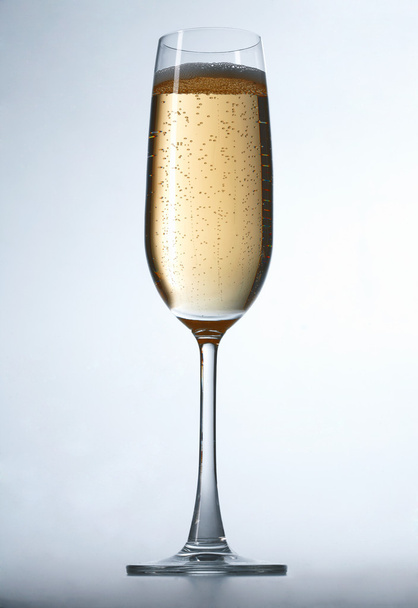 Glass of Champagne - Photo, Image