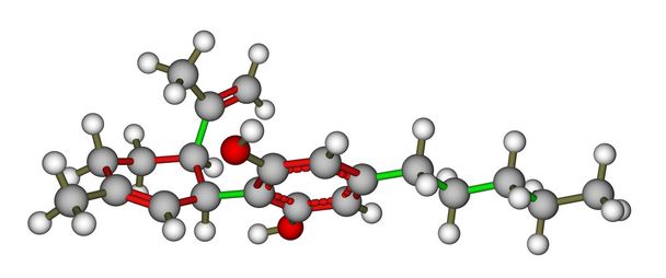 カンナビジ オールの分子モデル - 写真・画像