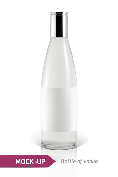 Wodkaflasche-Attrappe - Vektor, Bild