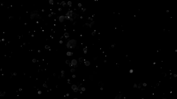 ほこりを分離した雲黒背景バブル ボケ - 映像、動画